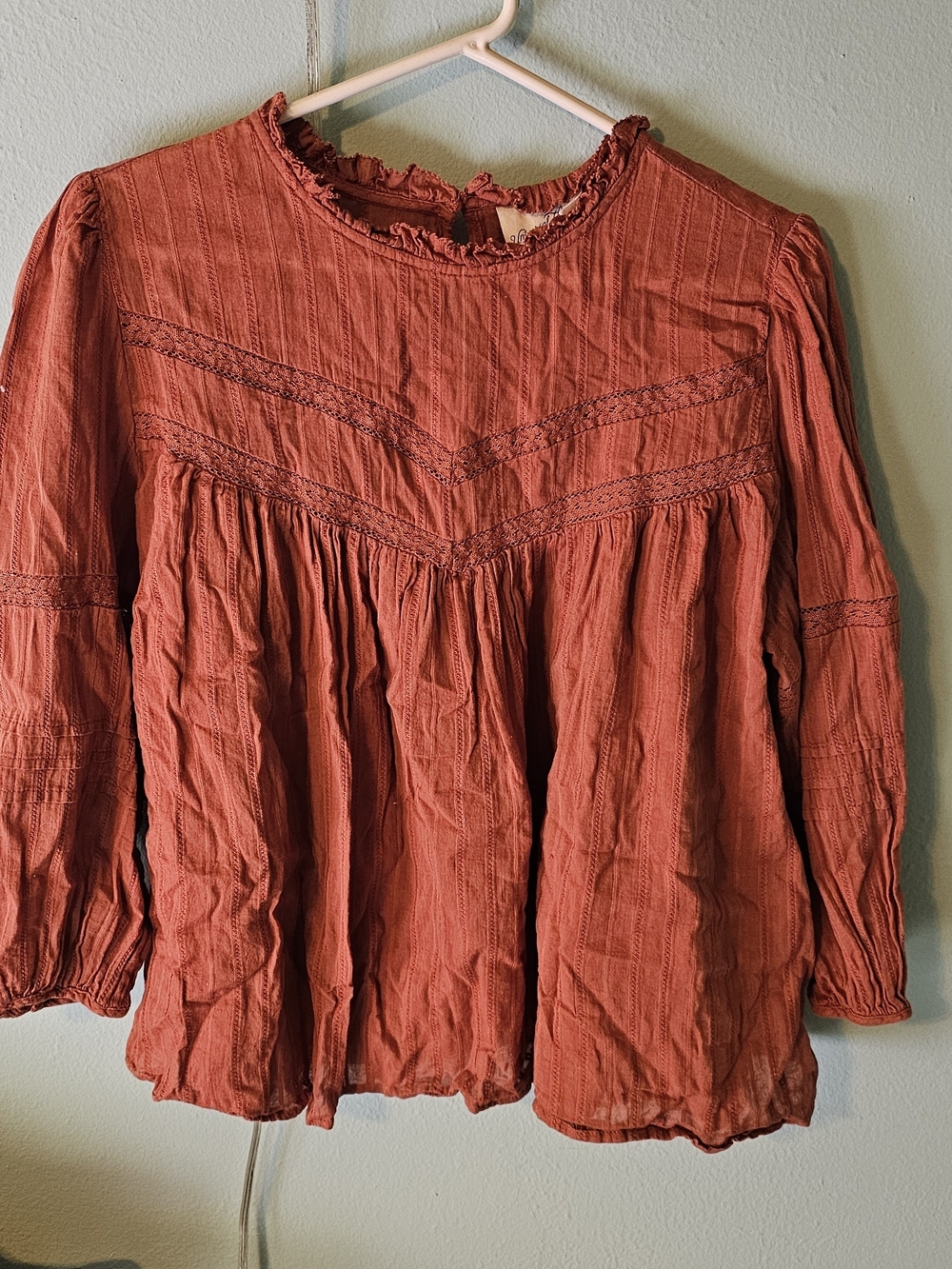 Universal Thread Rust Red Peasant Blouse with Lace Trim